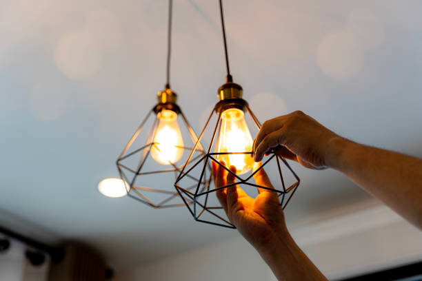 Best Licensed Electrician  in Siesta Acres, TX